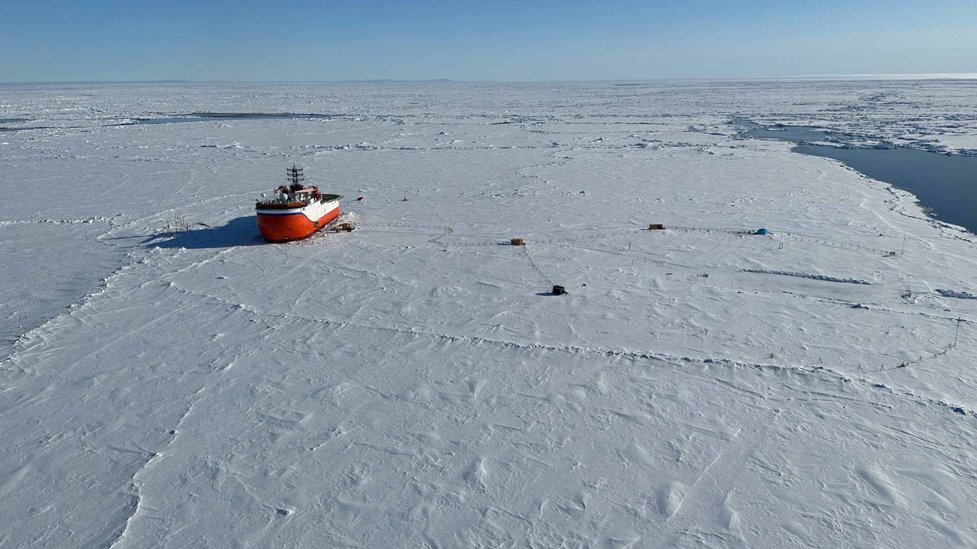 القطب الشمالي يكشف حياة "غير مسبوقة" تحت الجليد المتجمد