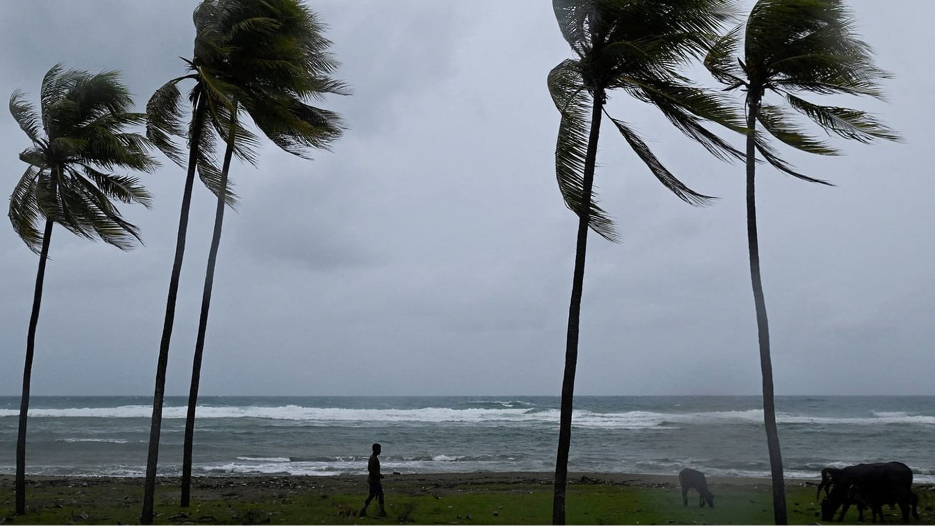 الإعصار ميليسا يتحول إلى الفئة الرابعة ويقترب من كوبا 