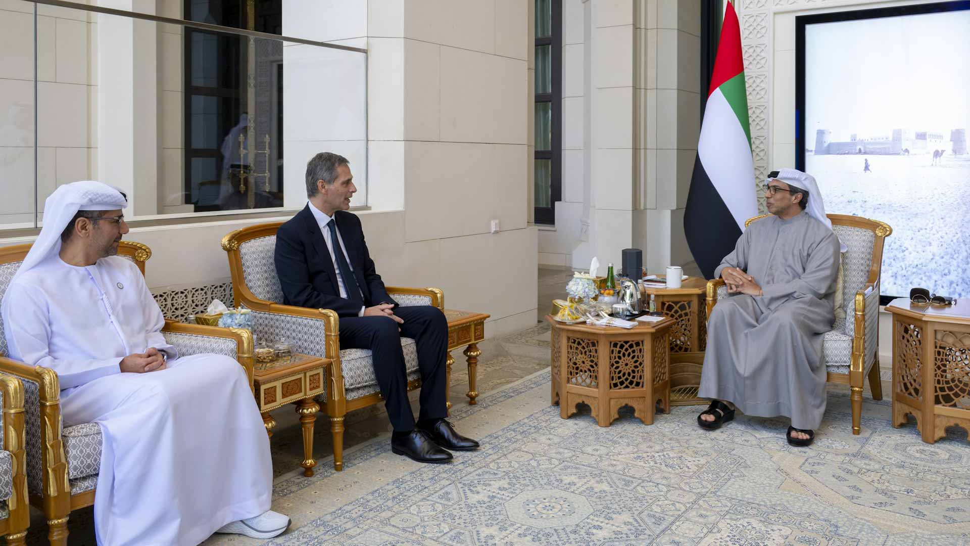 منصور بن زايد يستقبل رئيس مجلس إدارة "سي إم إيه سي جي إم" الفرنسية