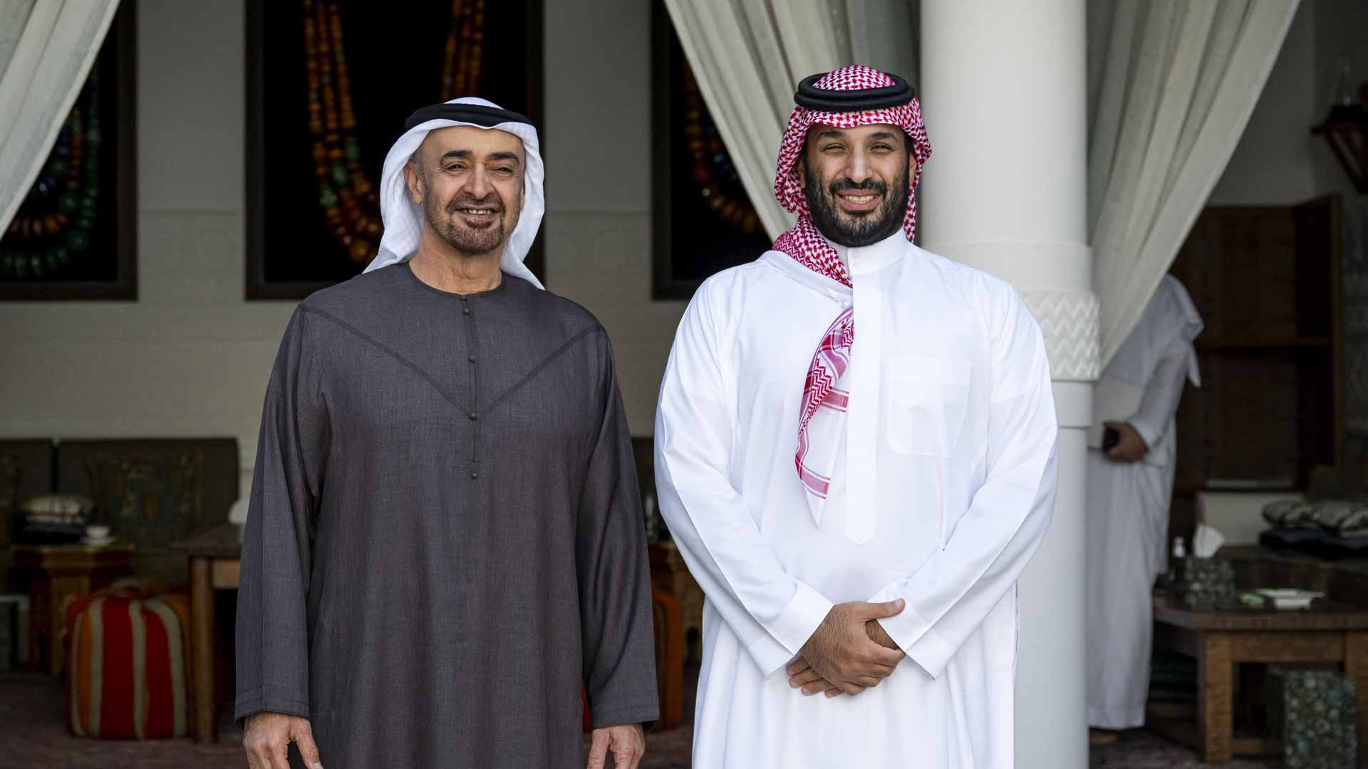 رئيس الدولة يبحث مع ولي عهد السعودية العلاقات الأخوية 