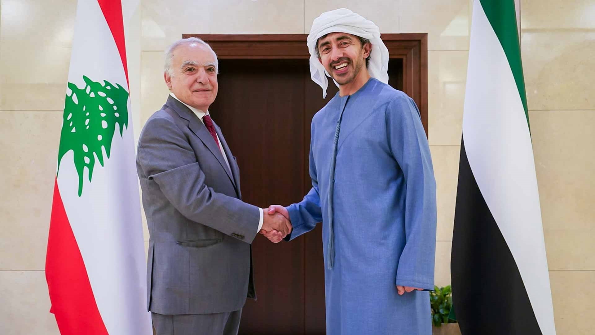 عبد الله بن زايد ووزير الثقافة اللبناني يبحثان سبل تعزيز التعاون