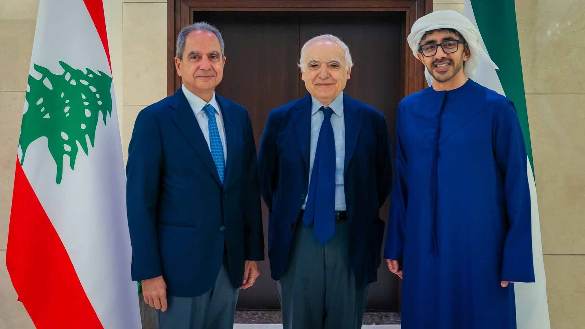 عبد الله بن زايد ووزير الطاقة اللبناني يبحثان العلاقات الأخوية