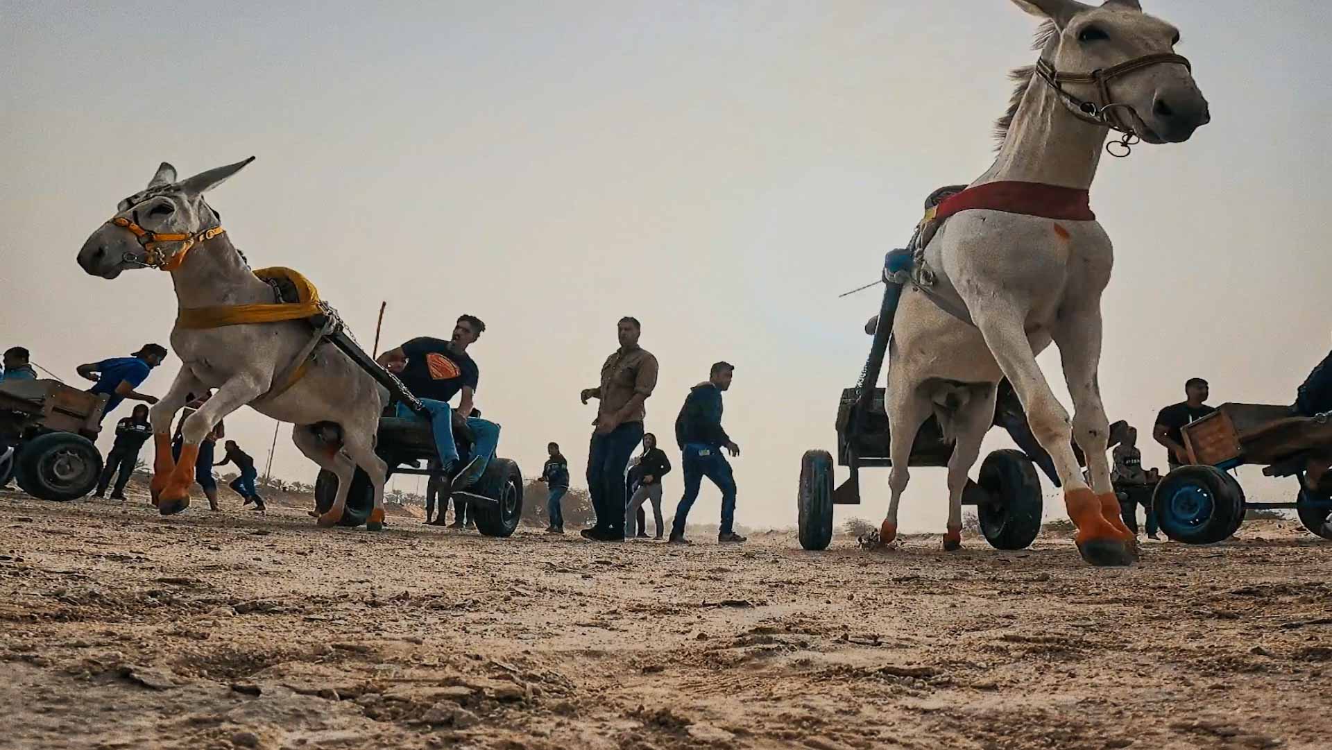 "الشارقة للفنون" تشارك في مهرجان إيمامي السينمائي بالهند 