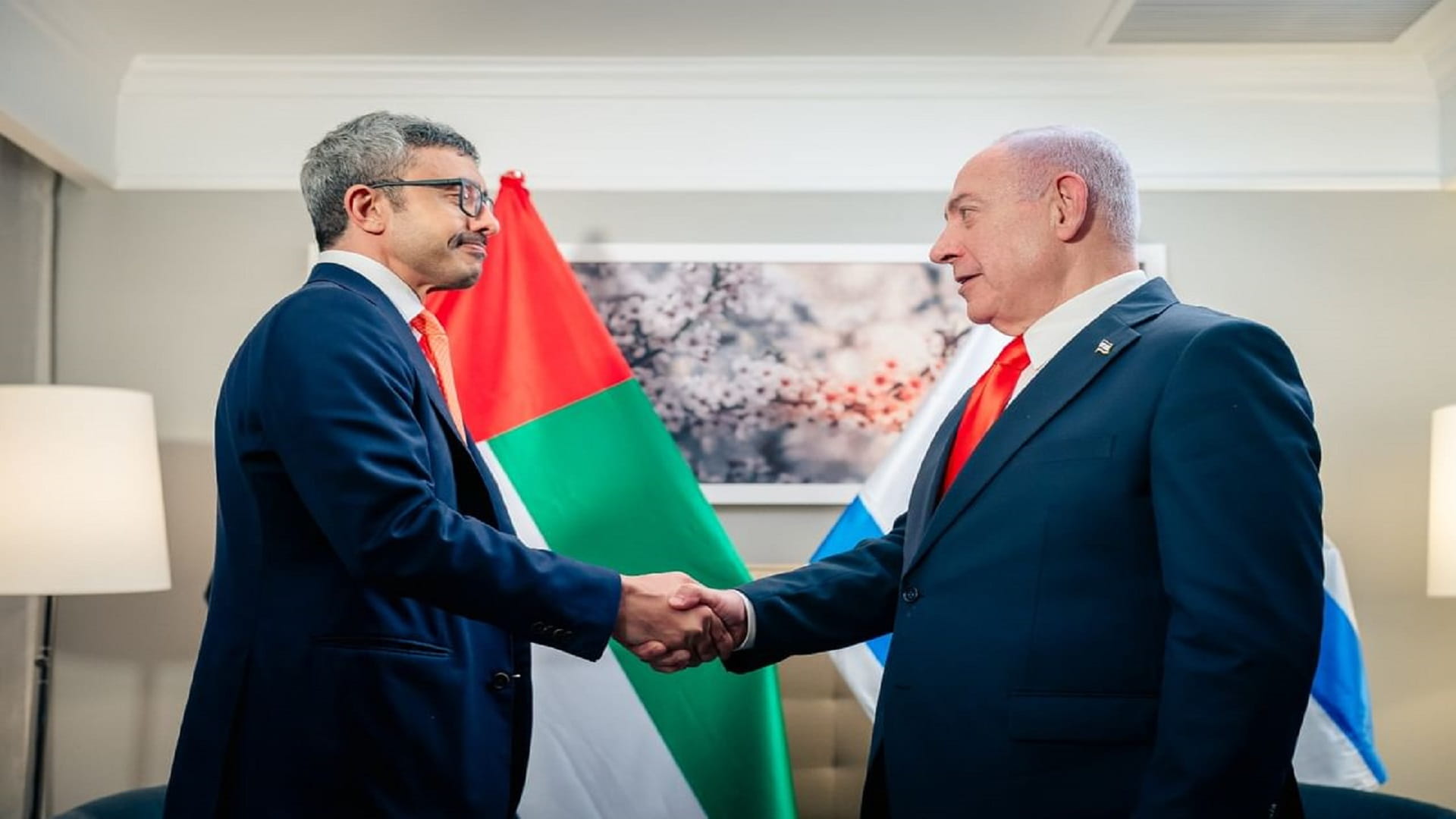 Abdullah bin Zayed urges urgent end to Gaza