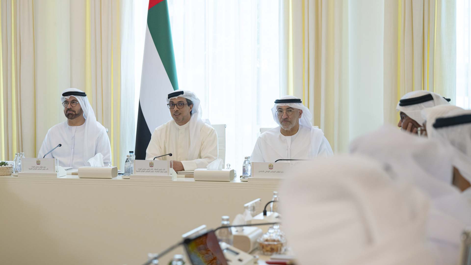 Mansour bin Zayed chairs Ministerial Development Council meeting 