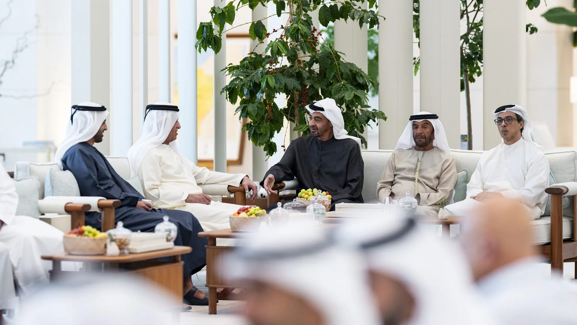 UAE President receives Ruler of Ras Al Khaimah and Crown Prince