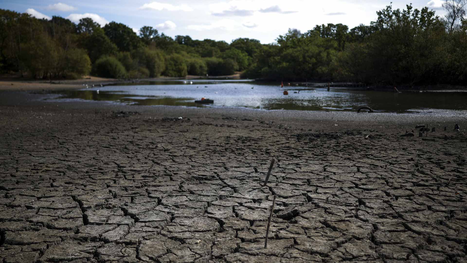 Austrian agriculture suffers nearly €1 billion in drought damage