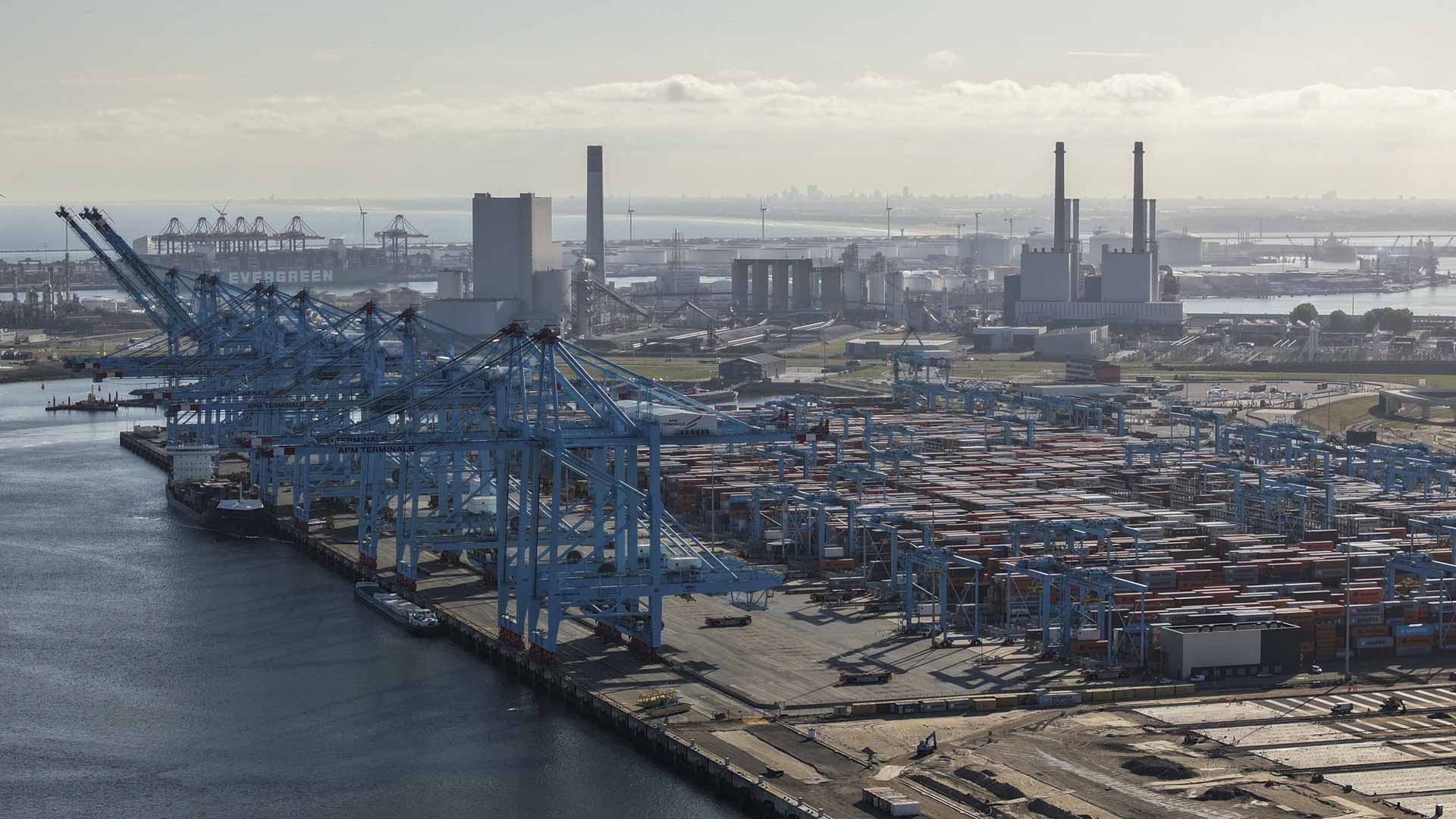 Image for the title: One dead, several injured in Rotterdam Port explosion 