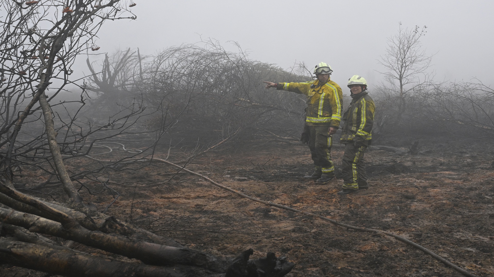Belgium’s largest wildfire in a century brought under control 
