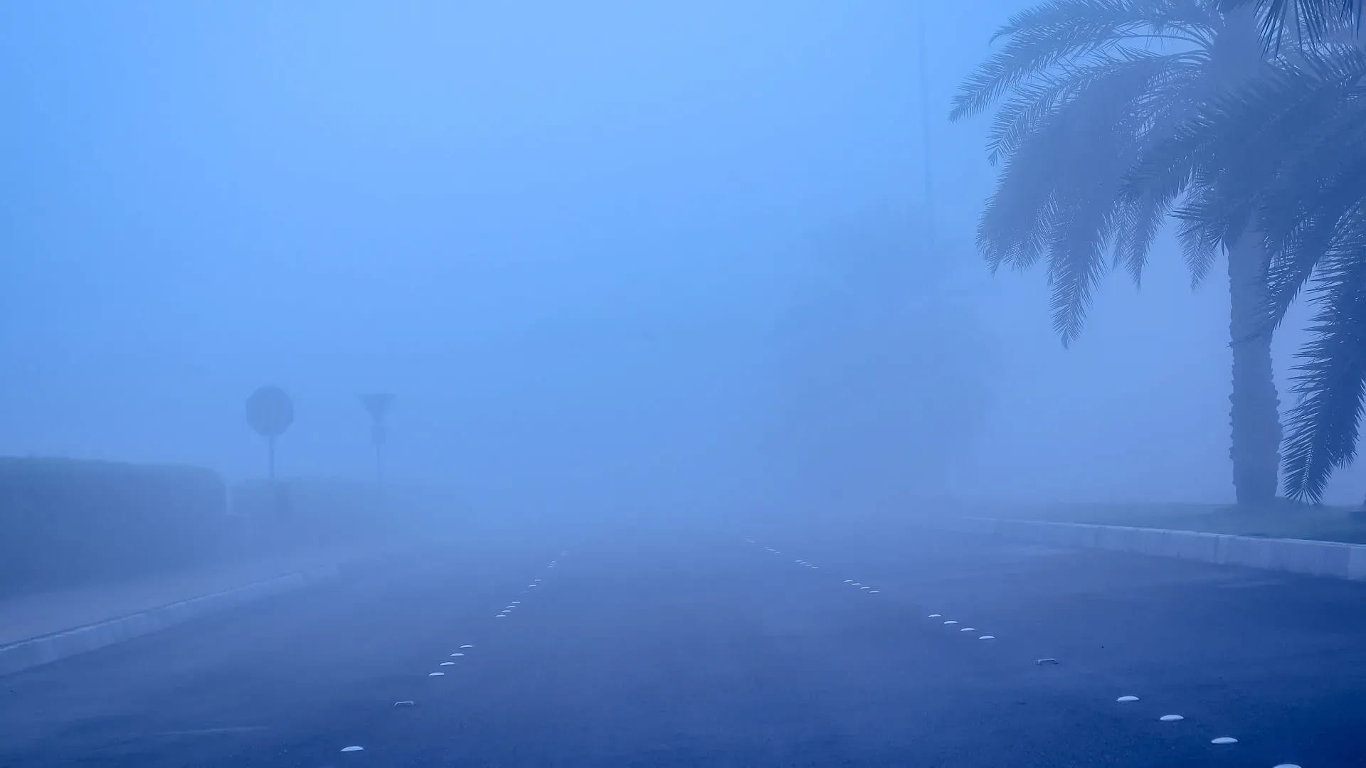 Motorists warned as dense fog threatens to blanket UAE 
