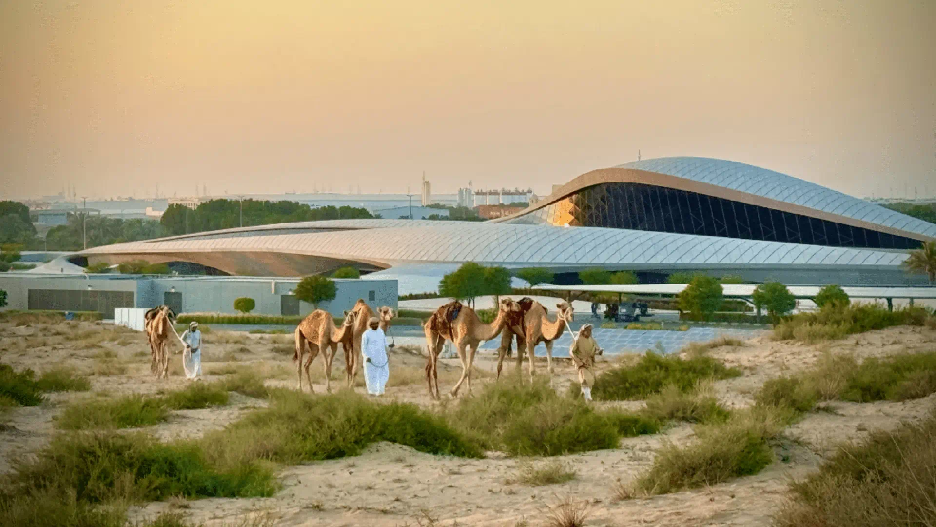 “Urban Solutions for a Green World” wins Impact DOCS Awards