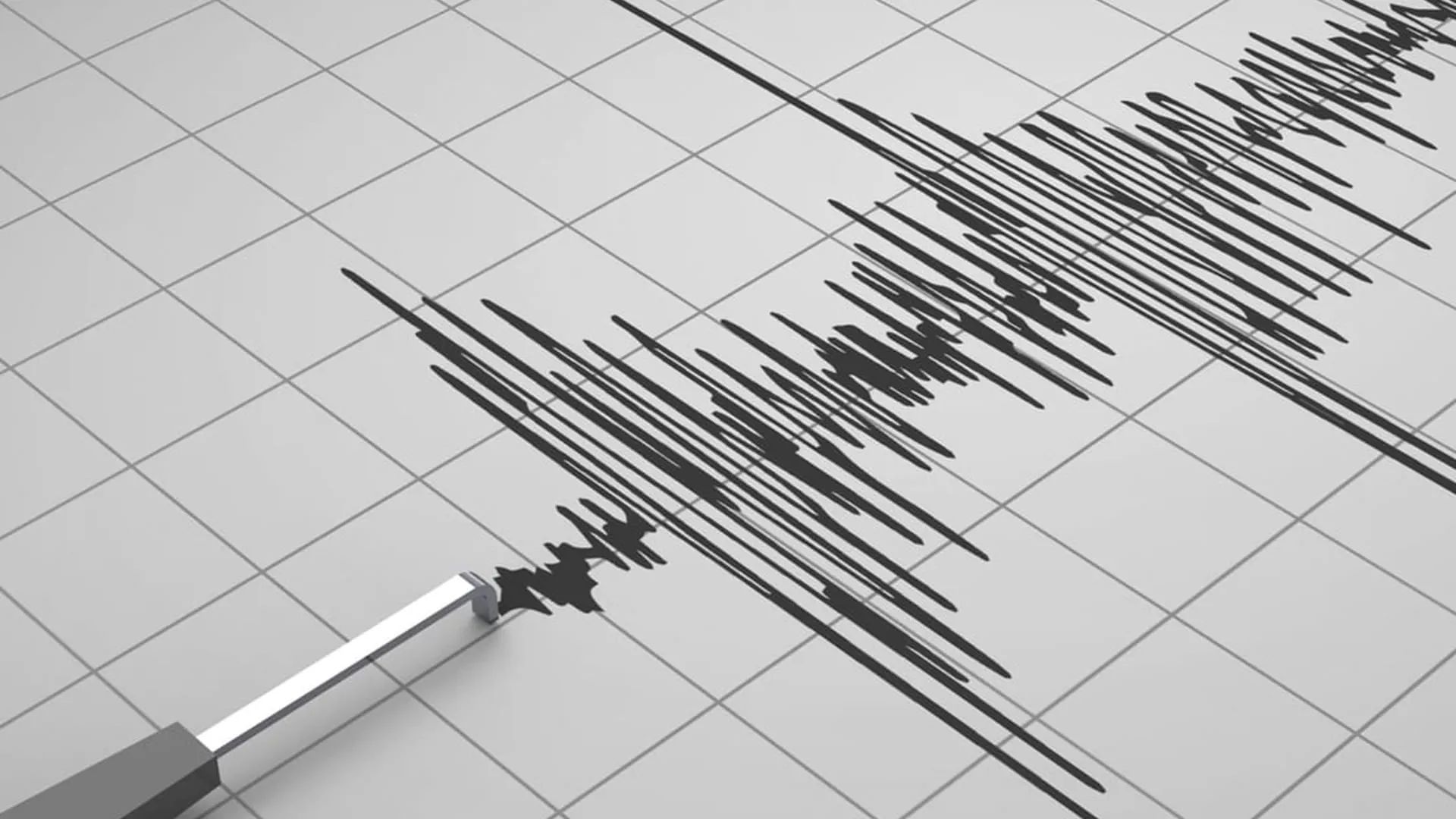 Moderate earthquake jolts northeastern India