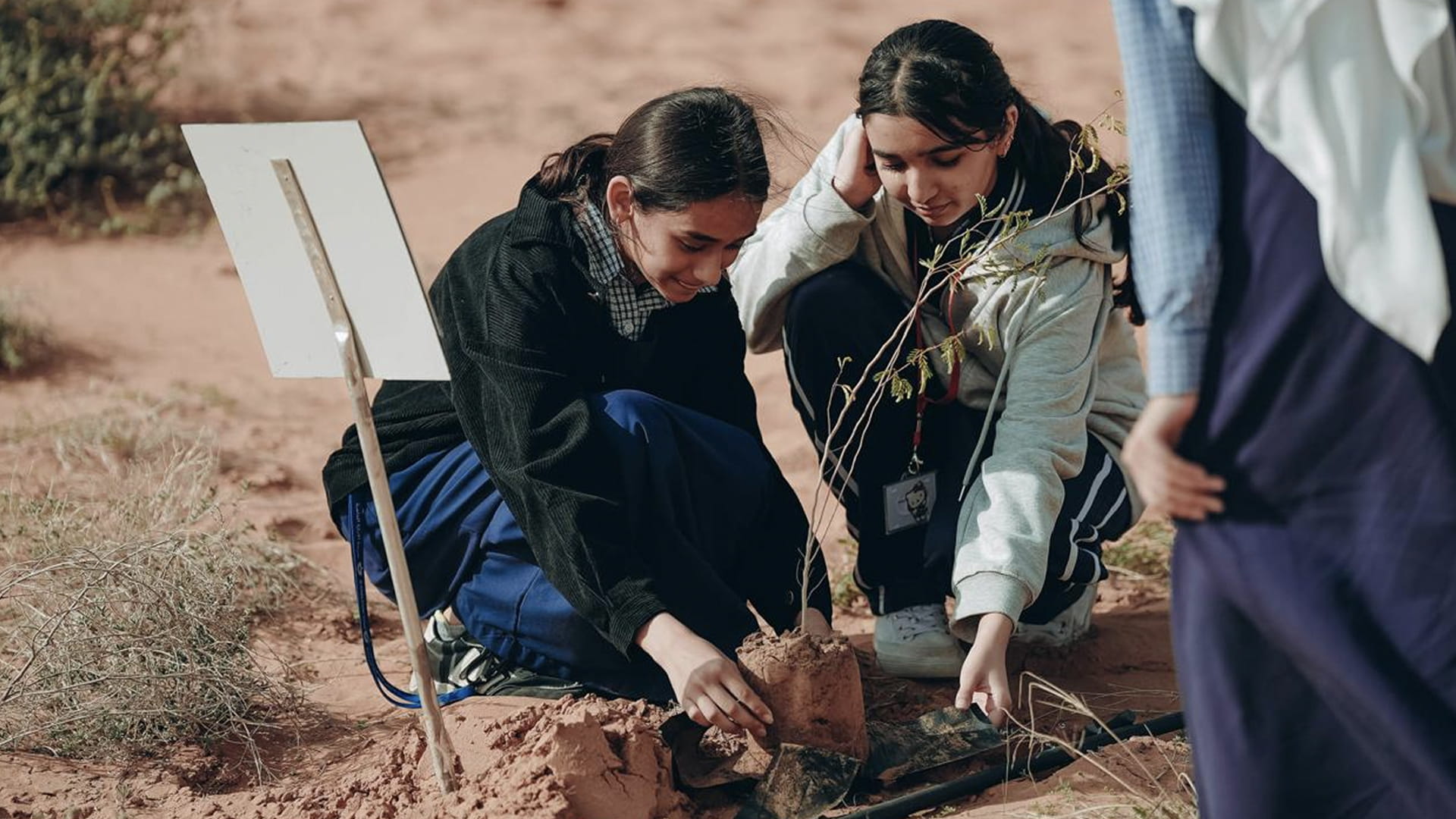 EPAA launches 12th afforestation campaign for Al Muntather 