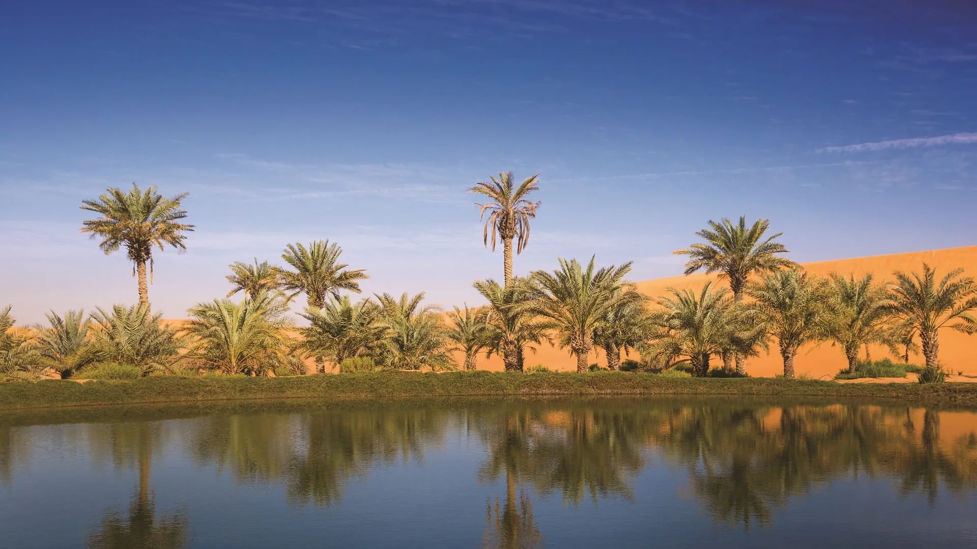 "الوطني للأرصاد": طقس الخميس صحو بوجه عام