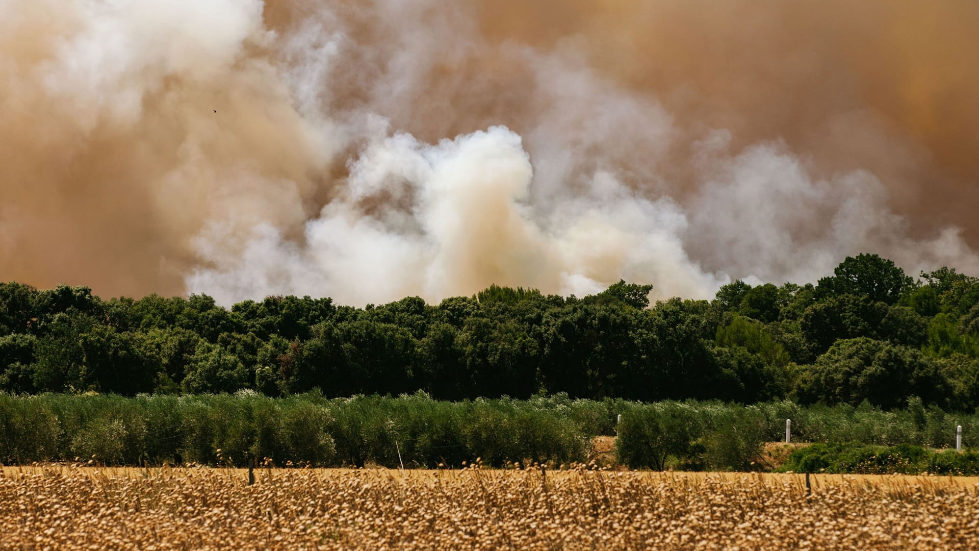 السلطات الفرنسية تجلي 10 آلاف شخص جراء حرائق الغابات