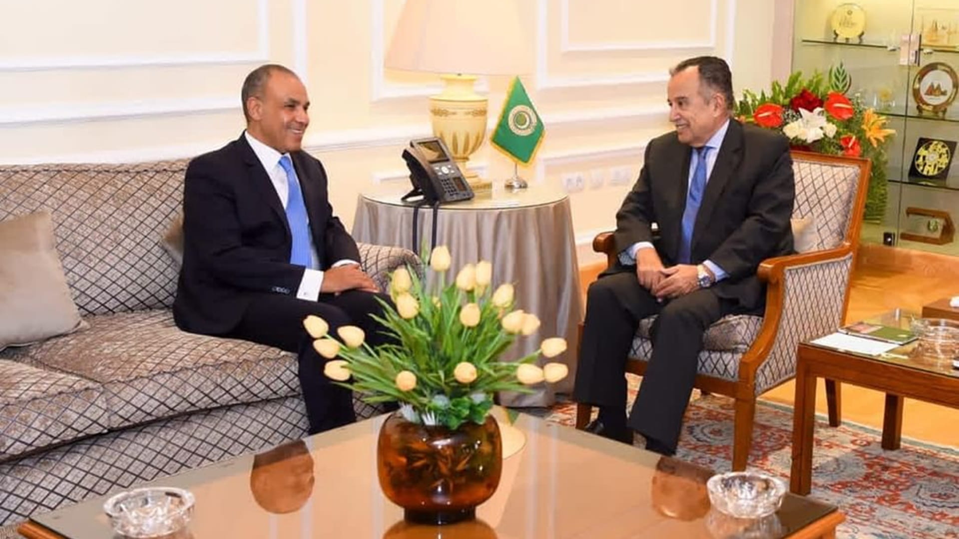 الجامعة العربية ومصر تؤكدان أهمية تطوير العمل العربي المشترك