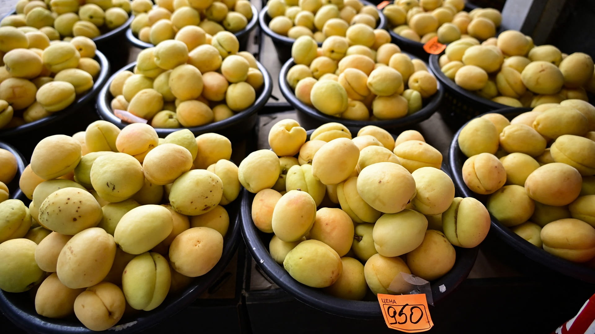 Image for the title: Armenian apricots become geopolitical battleground with Russia 