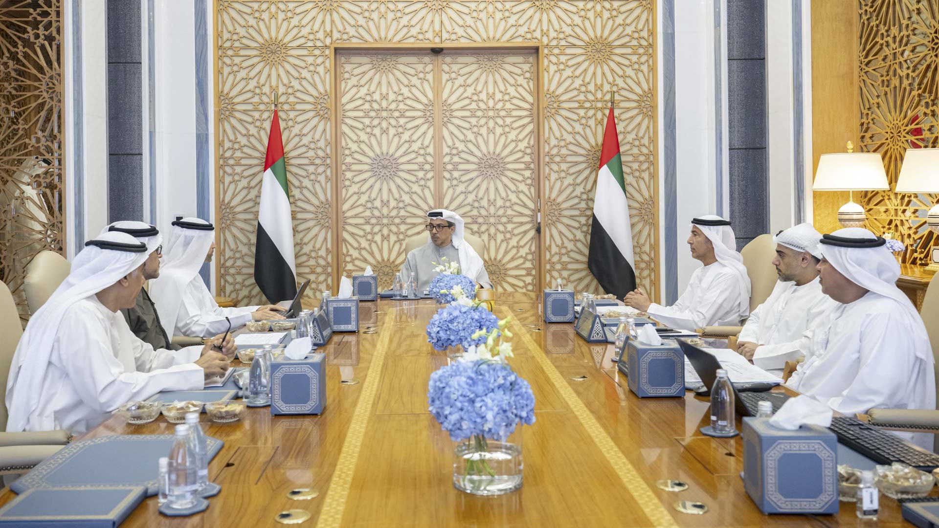 Mansour bin Zayed reviews financial readiness, AI plan