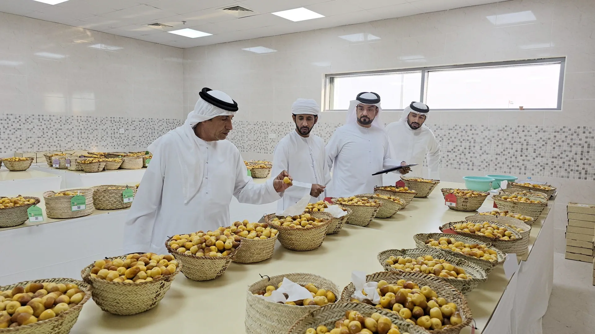 غرفة الشارقة تنهي استعداداتها لانطلاق مهرجان الذيد للرطب الـ10 