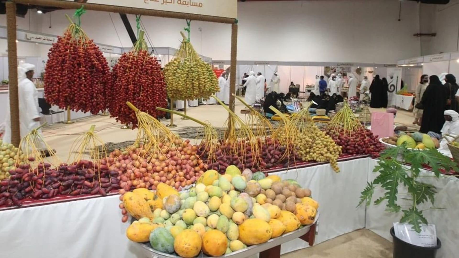 10th Al Dhaid Date Festival opens on Thursday
