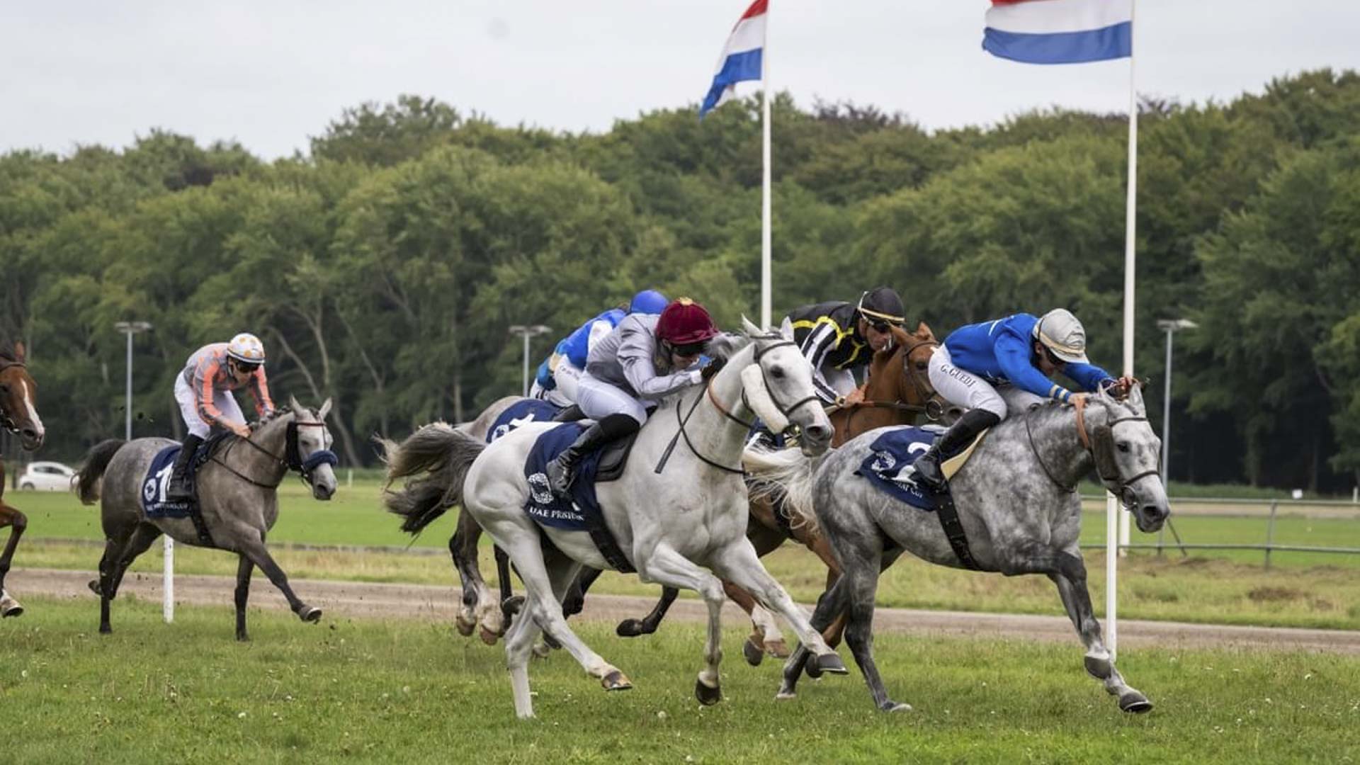 UAE President’s Cup continues European tour in Netherlands