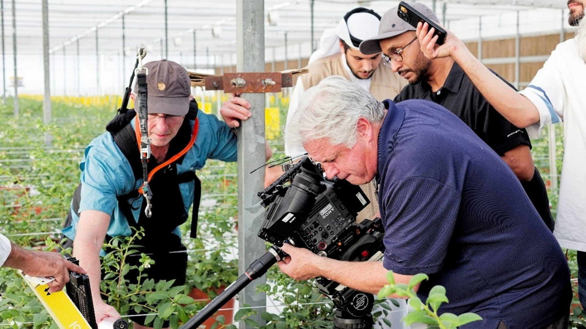 “Fields of Tomorrow” explores Sharjah's organic agriculture