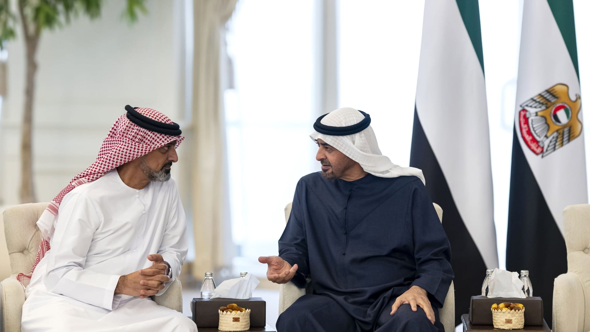 UAE President receives Ajman Crown Prince