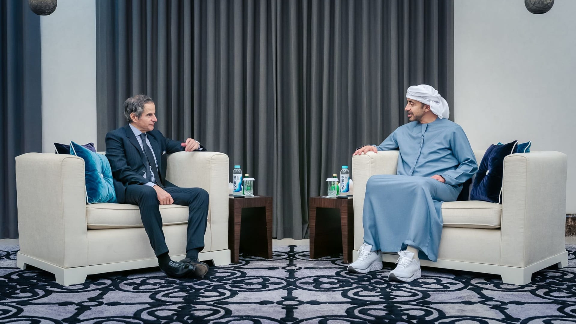 Abdullah bin Zayed receives IAEA Director General