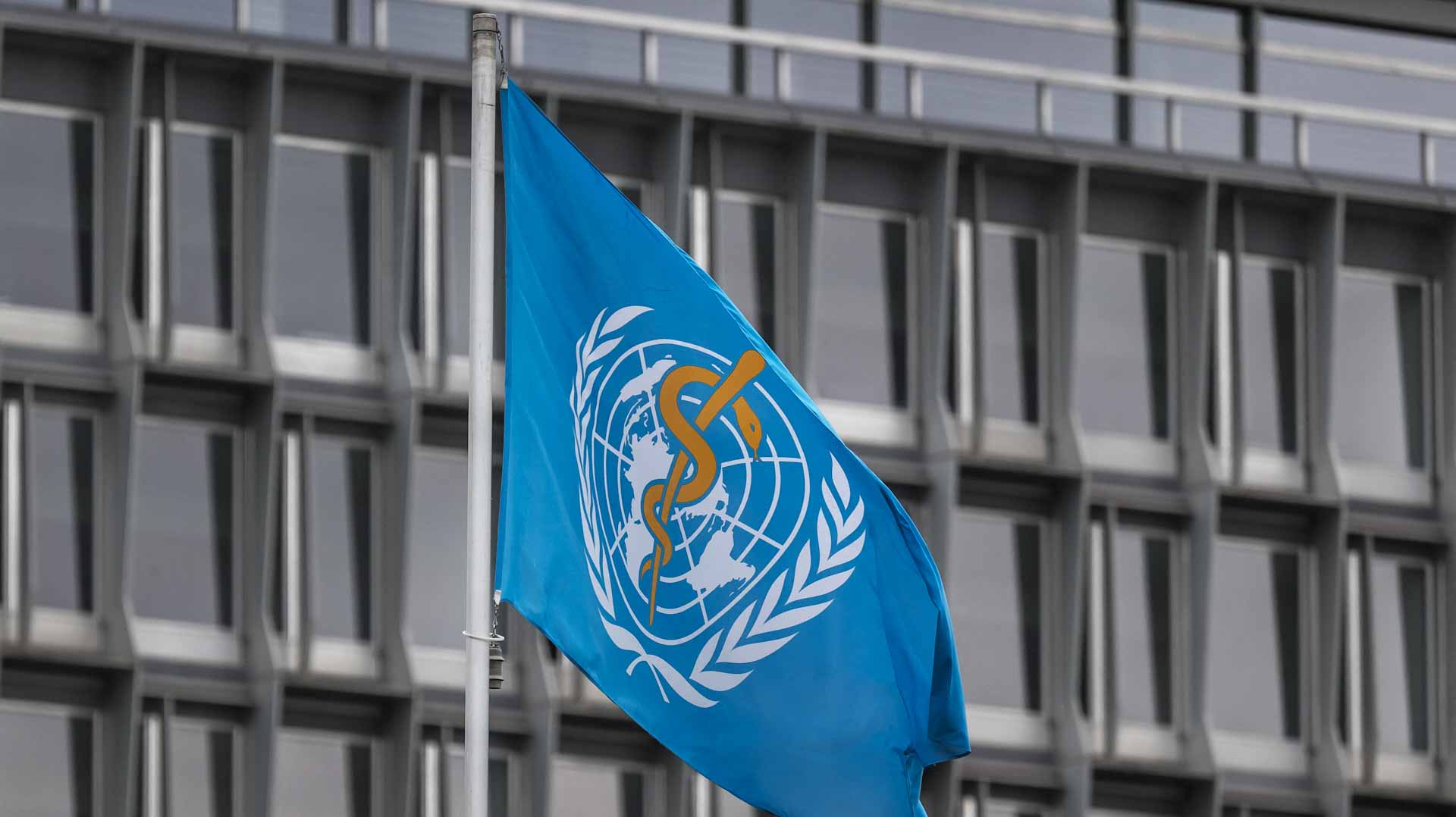 WHO confirms progress in Congo Ebola fight despite challenges