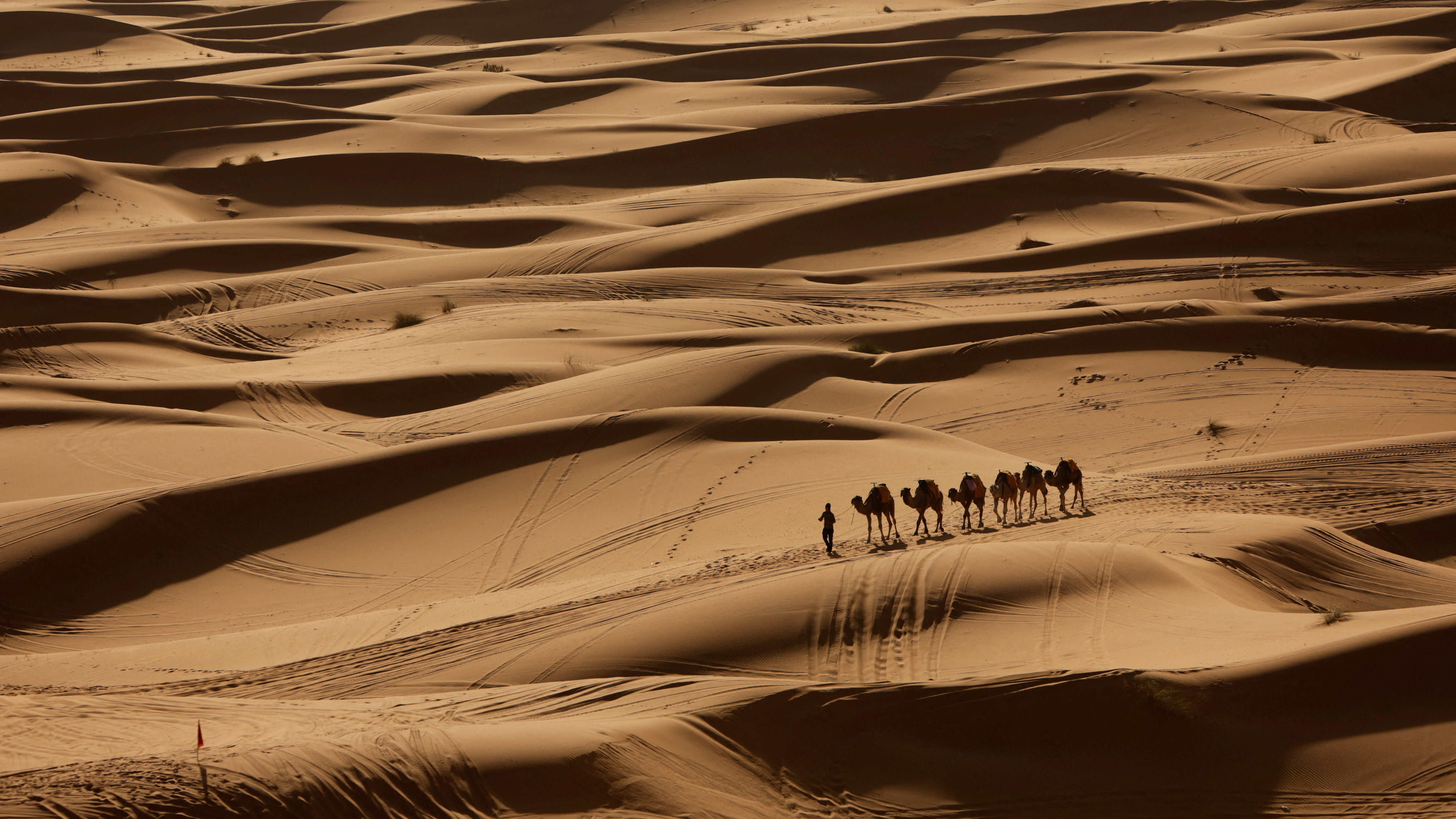 Nearly 50 die of thirst after truck breaks down in Sahara