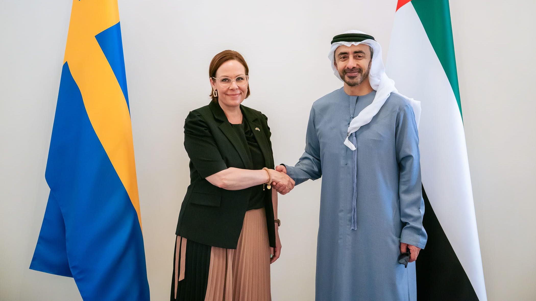 UAE and Sweden discuss regional security and cooperation