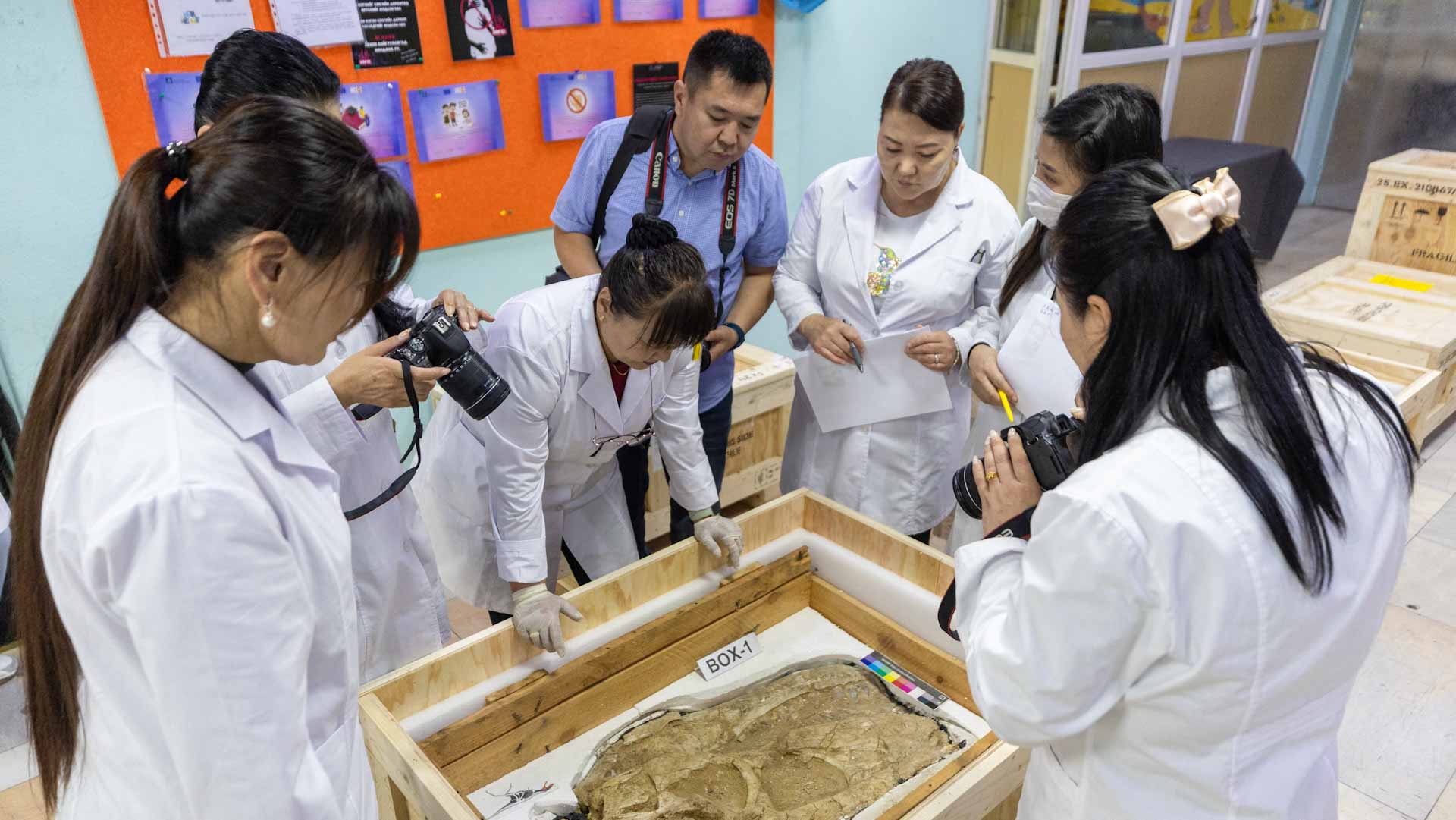 Mongolia recovers smuggled dinosaur fossils after 20 yearsv