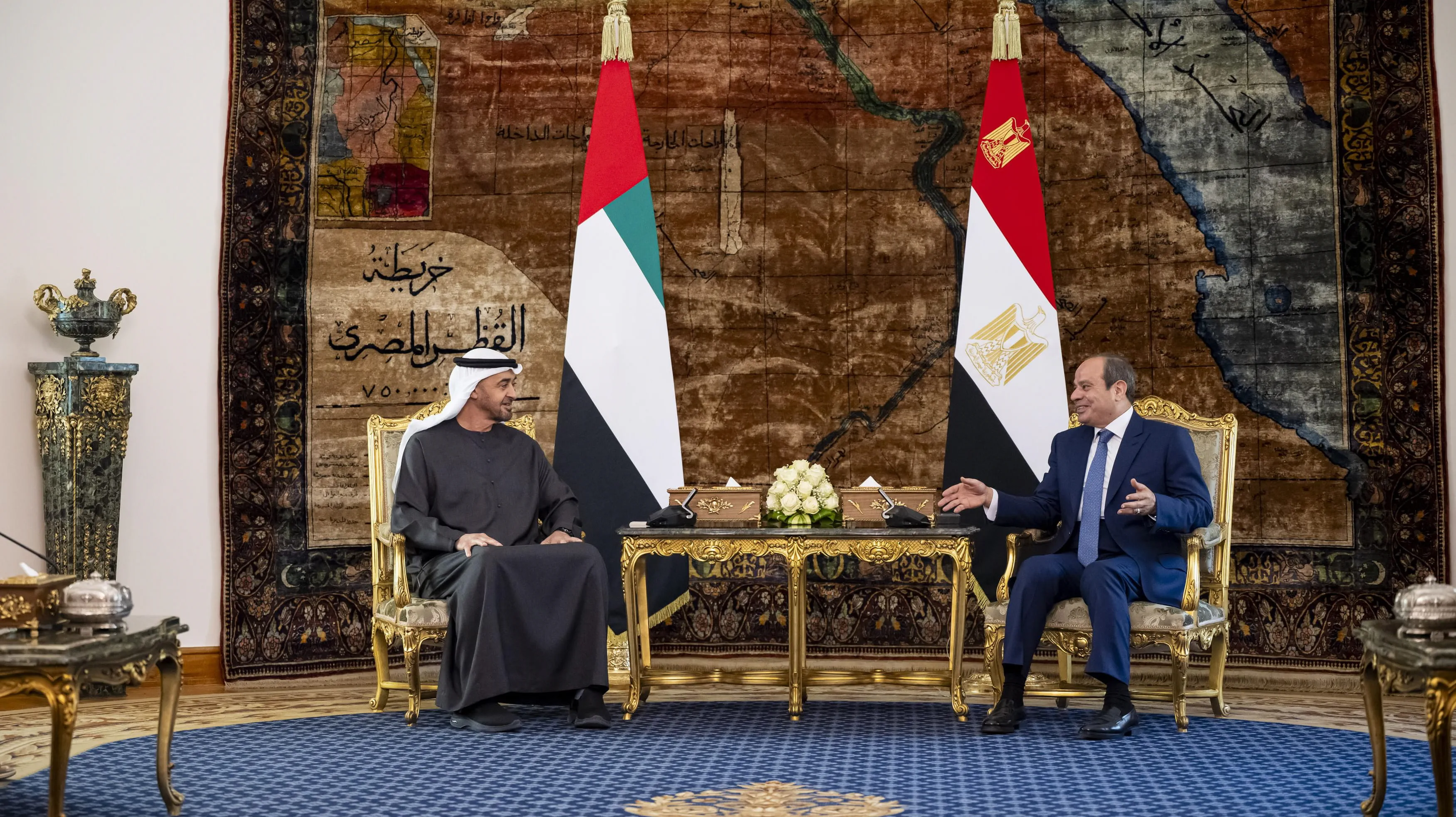UAE President discusses bilateral ties with President Sisi
