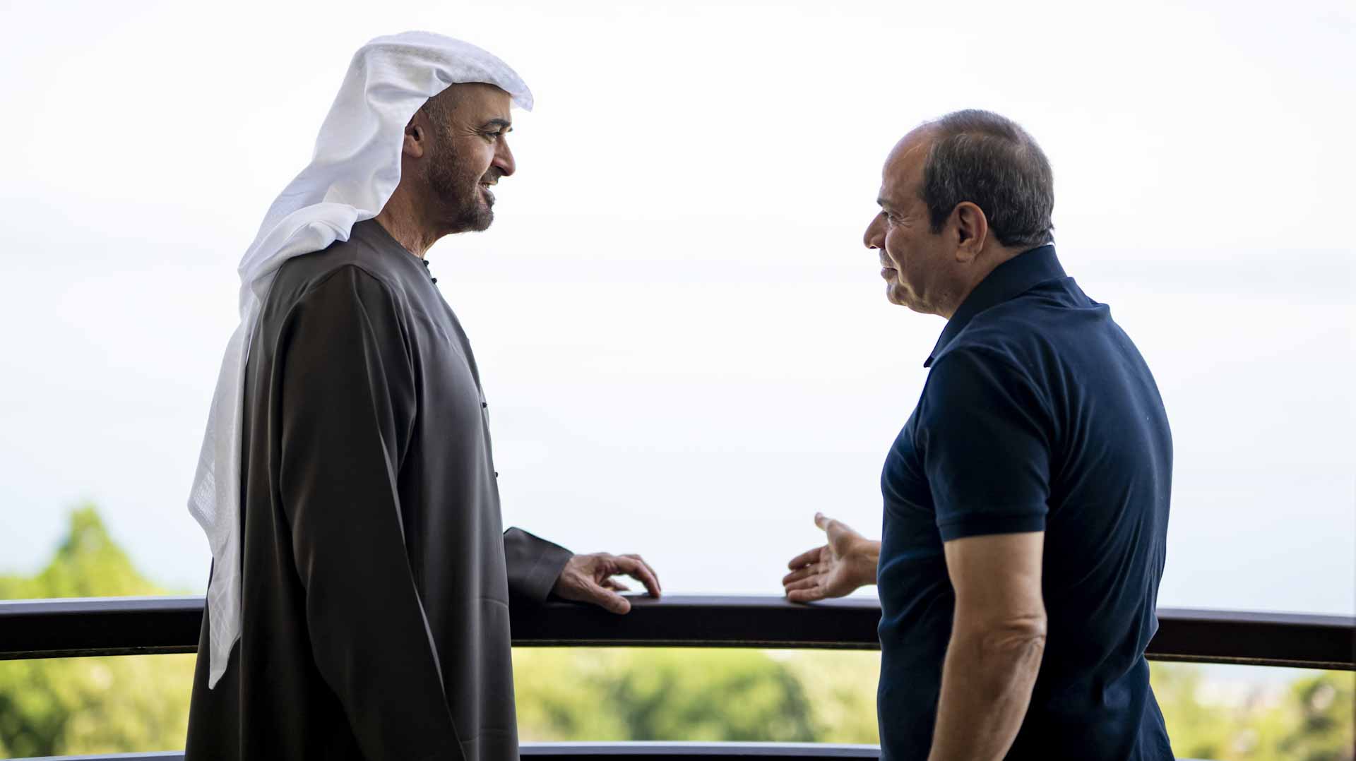 UAE President meets Egyptian President in France