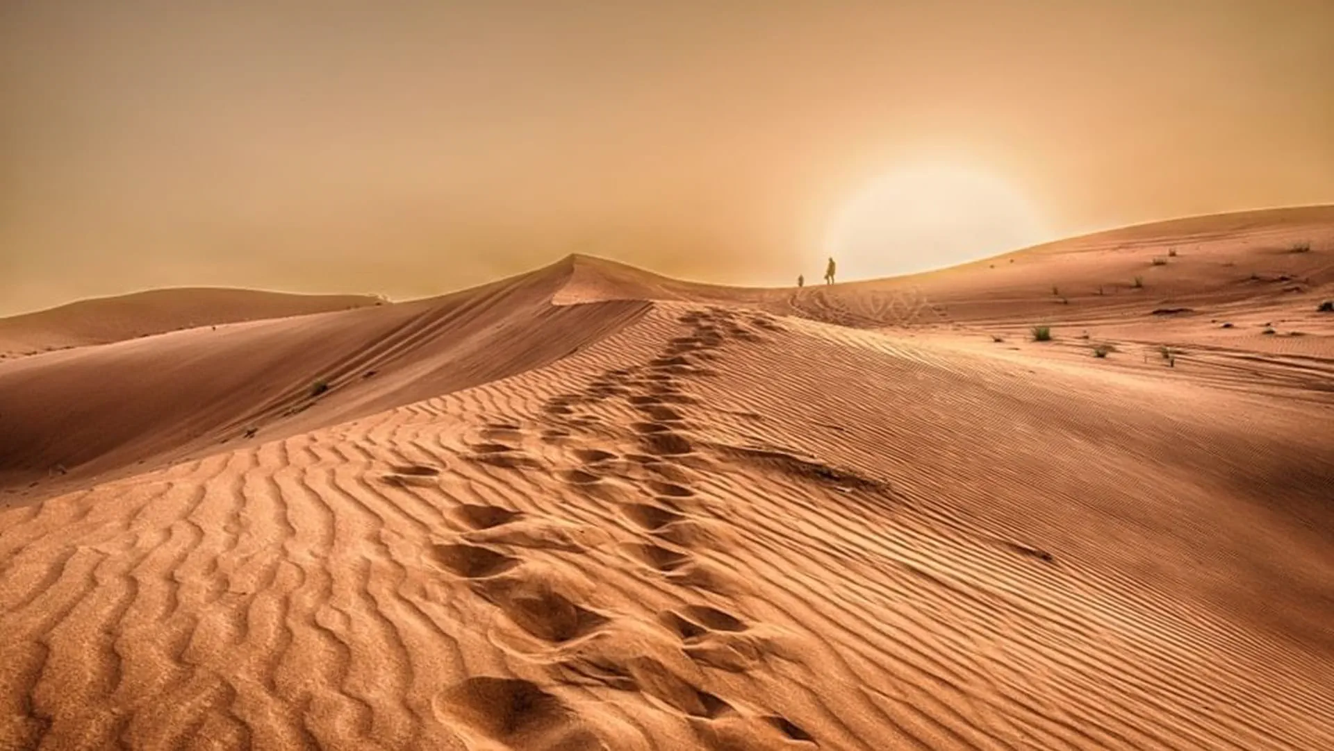 Astronomical summer begins Sunday as UAE faces the longest day