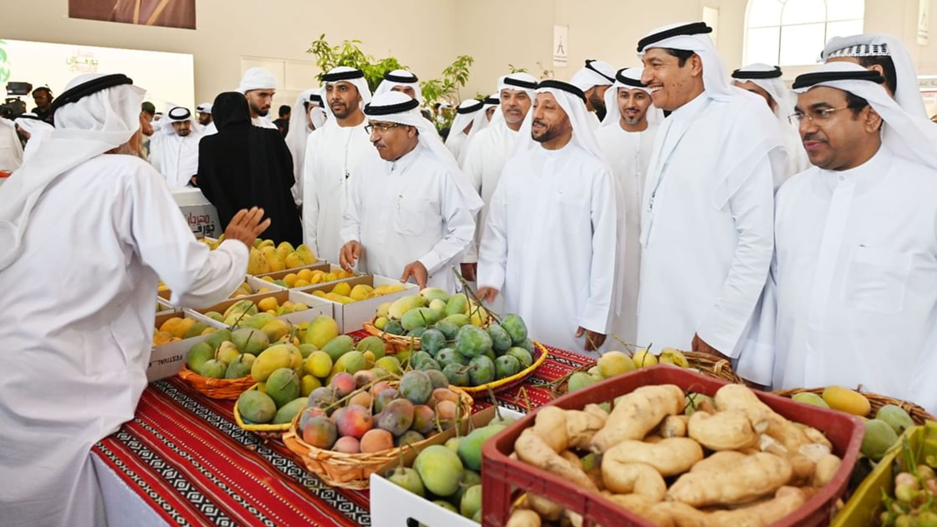 مهرجان خورفكان للمانجو يطلق فعاليات موسمه الخامس غداً