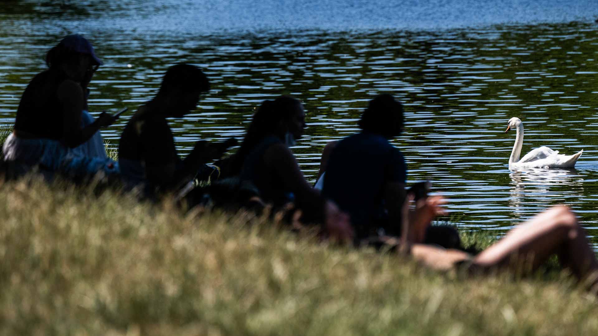 Germany sees hottest temperature on record of 41.3C