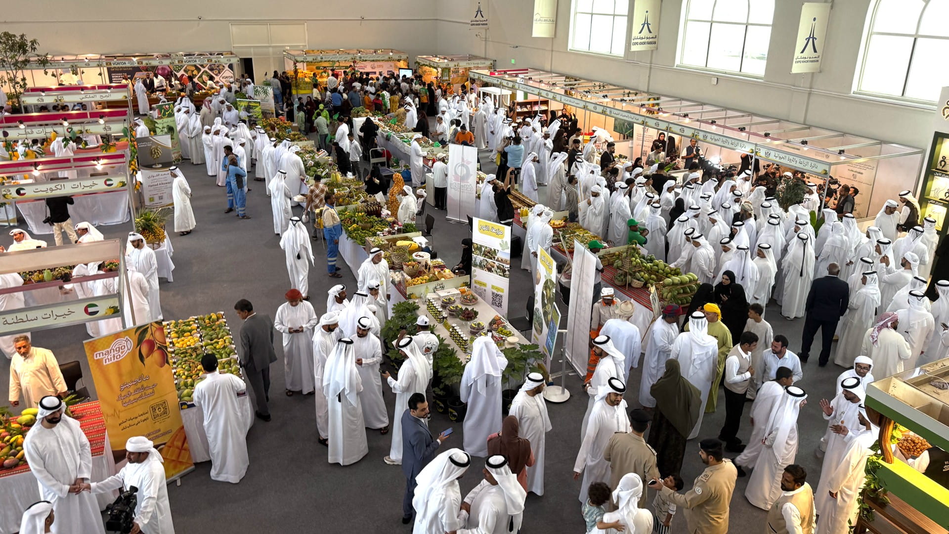 Khorfakkan Mango Festival-5 brings in large crowds
