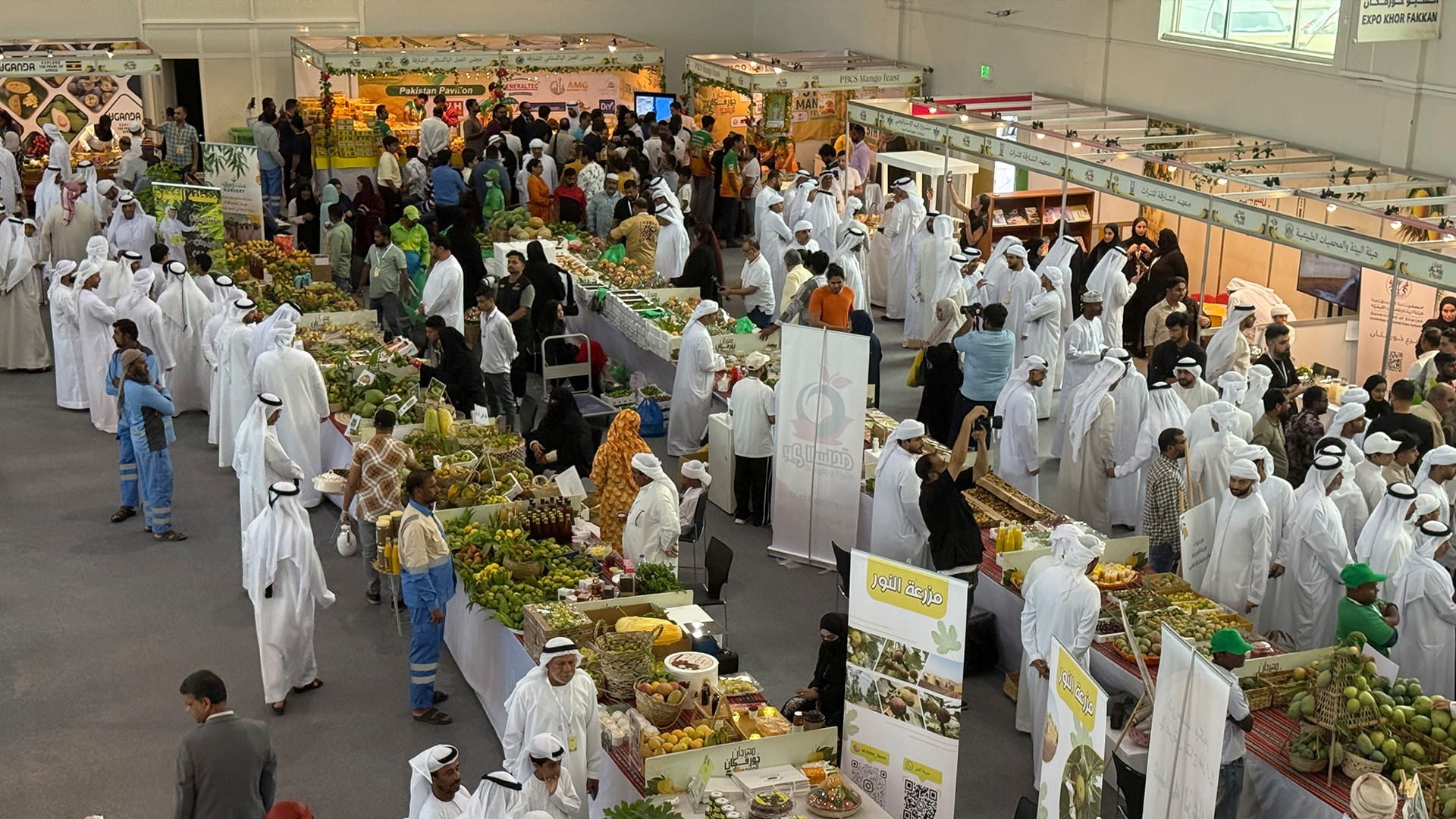 Khorfakkan Mango Festival curtains down with remarkable success