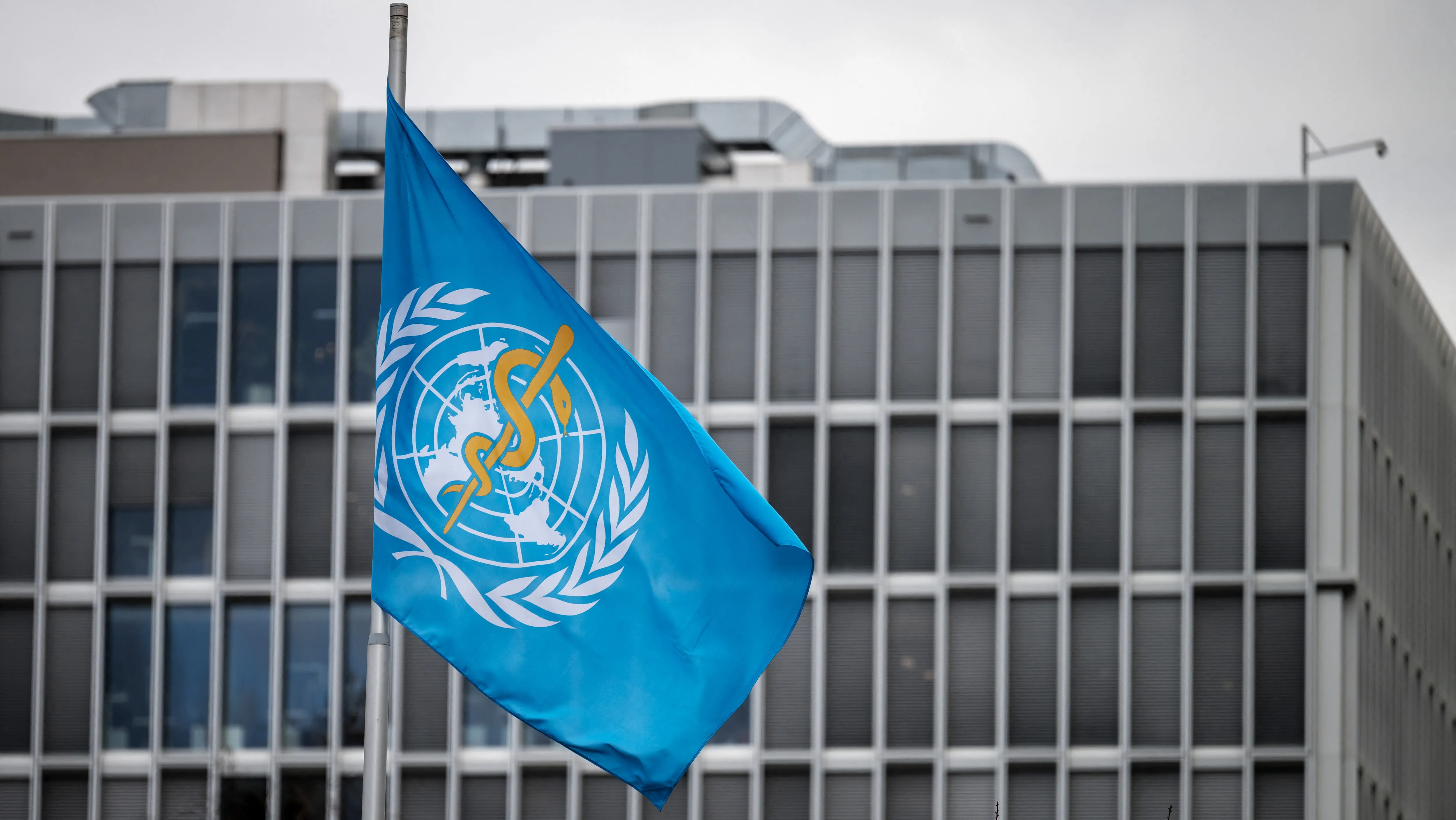 WHO condemns Iran's blatant attacks on UAE