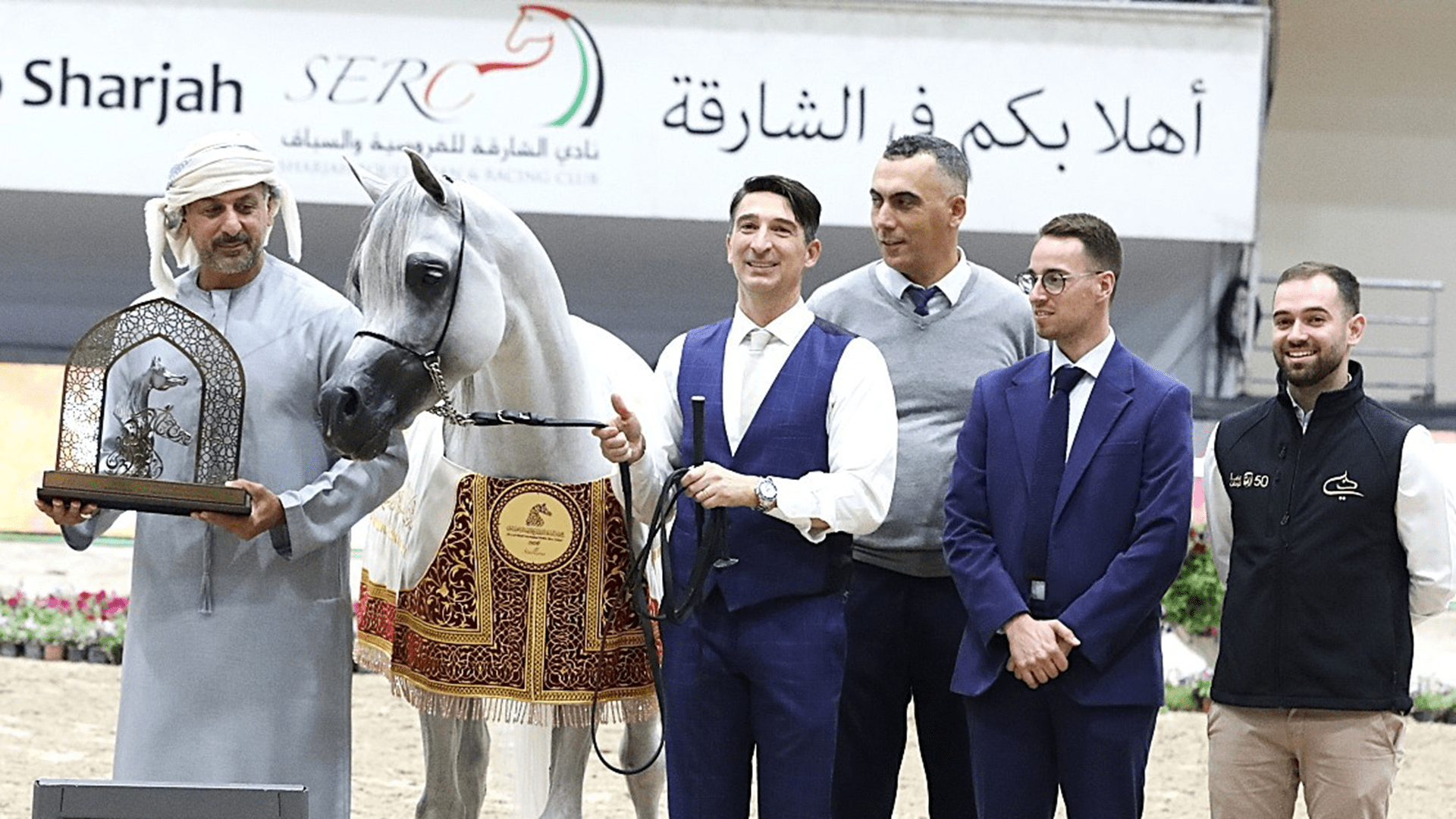 مهرجان الشارقة للجواد العربي يشهد تألق خيول مربط دبي مجدداً 