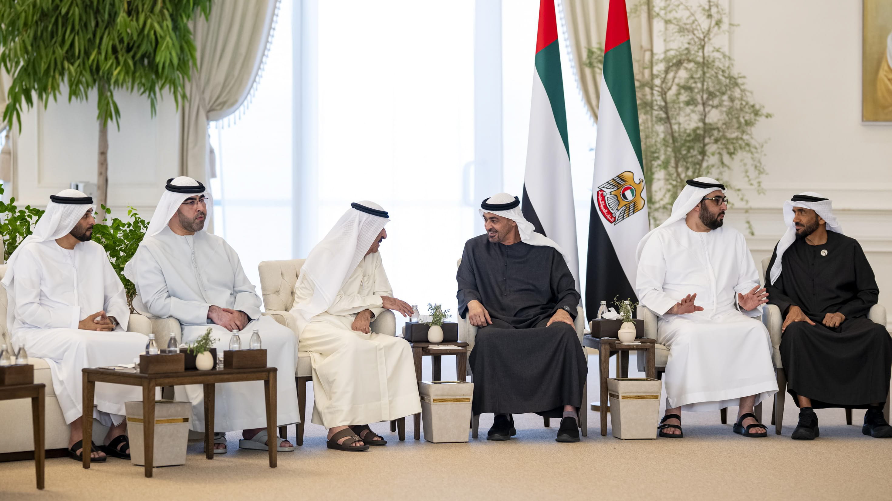 رئيس الدولة يبحث مع حاكم أم القيوين وولي عهده شؤون الوطن والمواطن