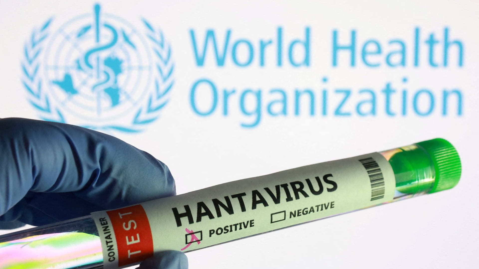 WHO chief: Hantavirus risk to Tenerife public remains low 