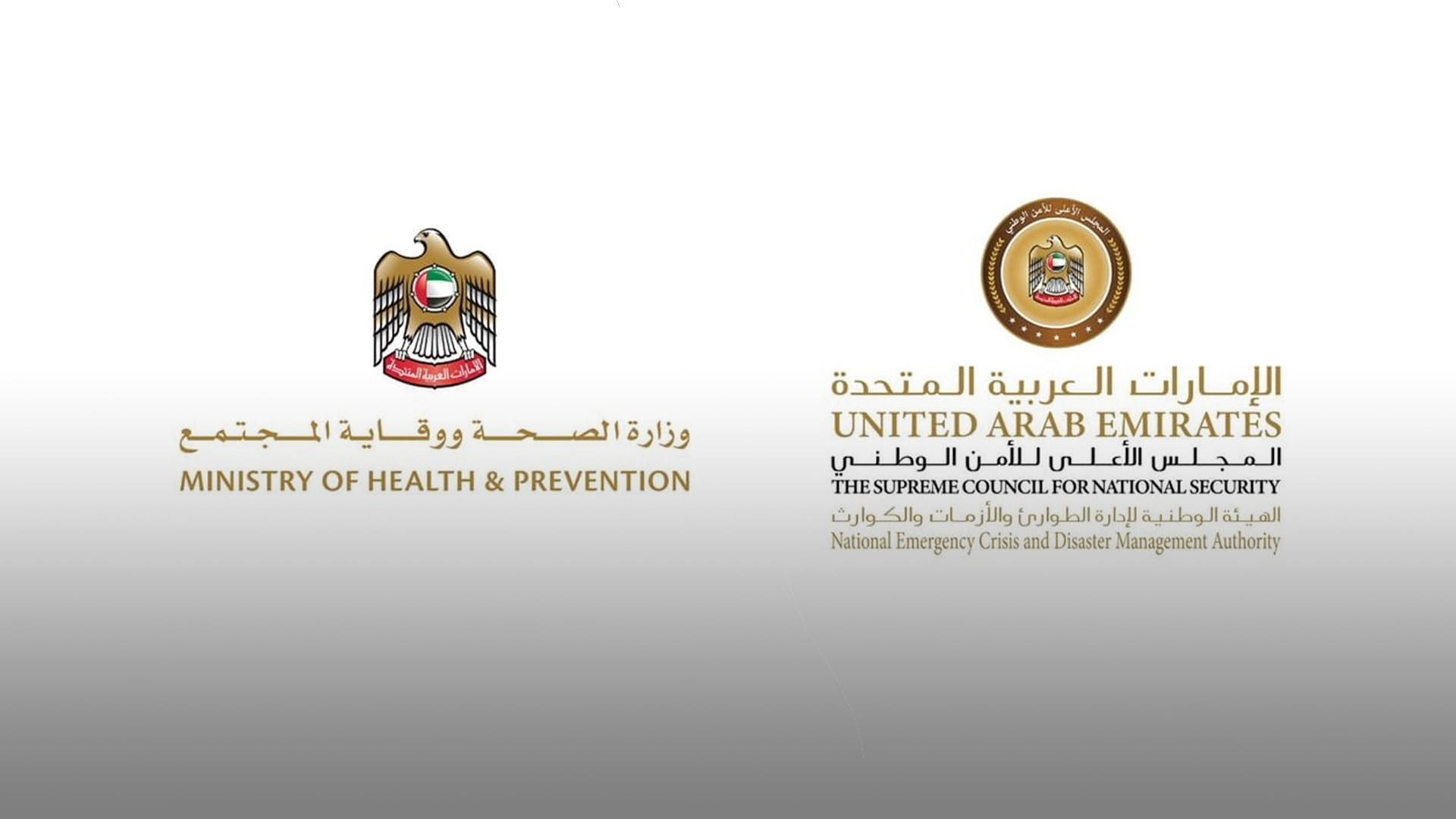 "الطوارئ والأزمات و"الصحة" تؤكدان الجاهزية للتعامل مع فيروس"هانتا" 