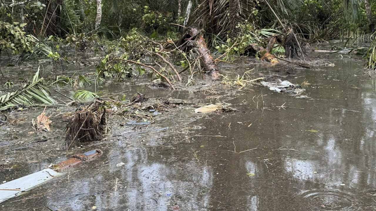 وفاة32 شخصاً في تحطم طائرة عسكرية نيجيرية والرئيس يأمر بتحقيق عاجل1