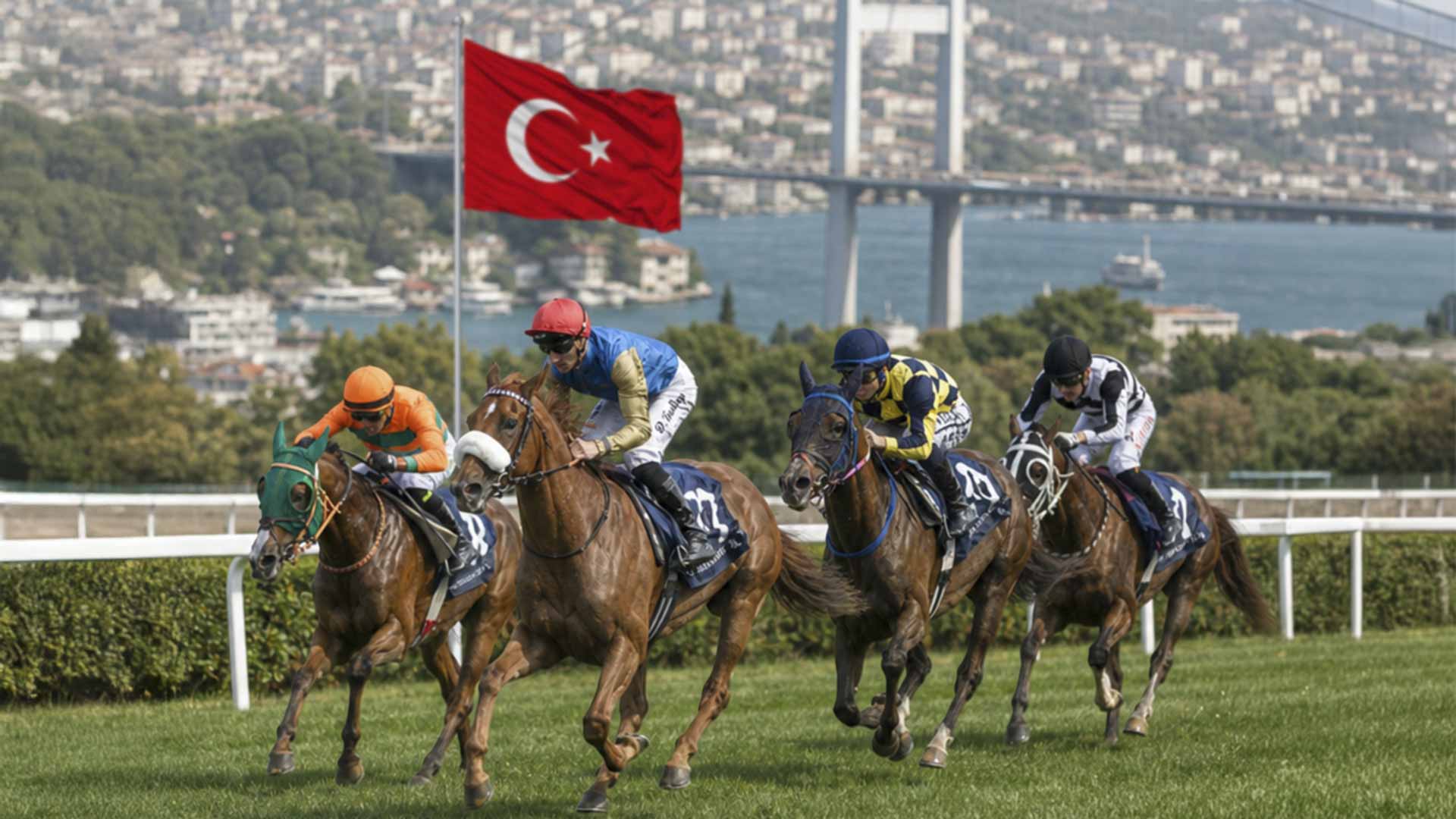 9 خيول تتنافس غداً على لقب كأس رئيس الدولة للخيول العربية بإسطنبول 