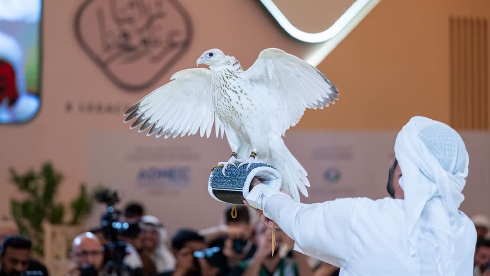 Falcon sets world auction record at AED2.1 million in Abu Dhabi