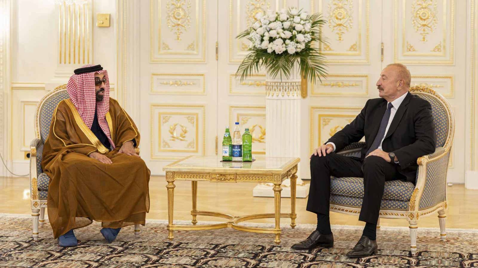 طحنون بن زايد والرئيس الأذربيجاني يبحثان تعزيز التعاون