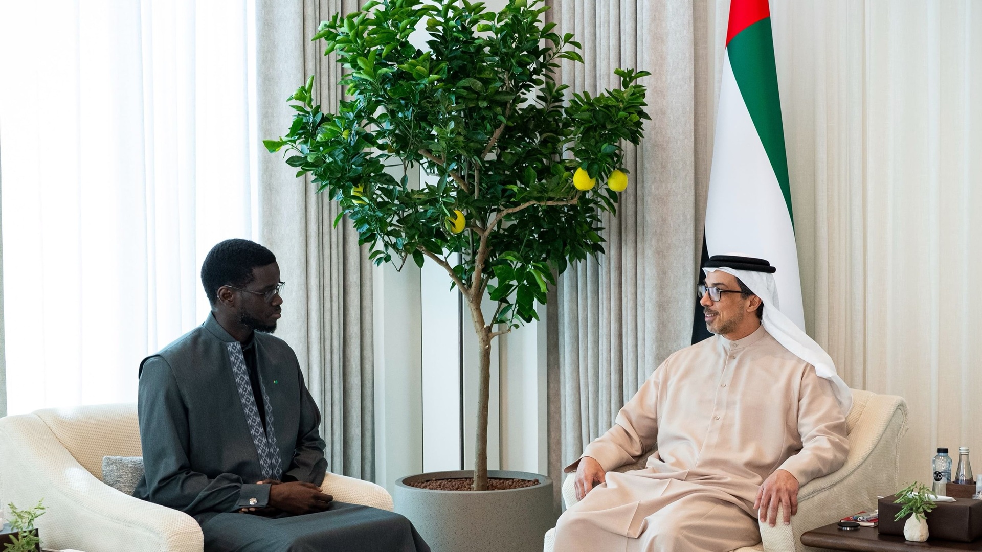 Mansour bin Zayed meets Senegal President to boost bilateral ties 