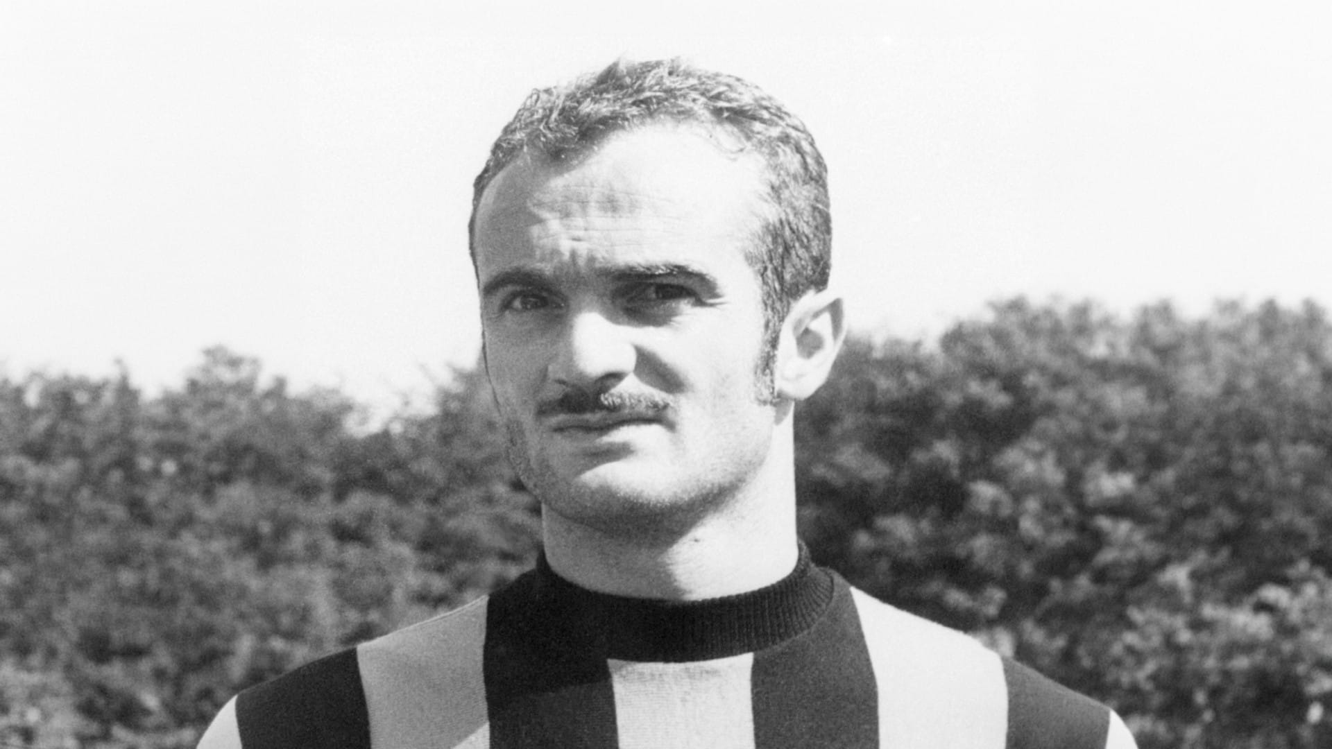 ساندرو ماتسولا 